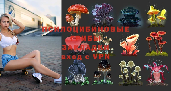 шишки Ступино