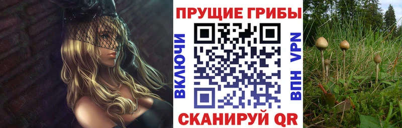 Галлюциногенные грибы мухоморы  hydra tor  Рязань 
